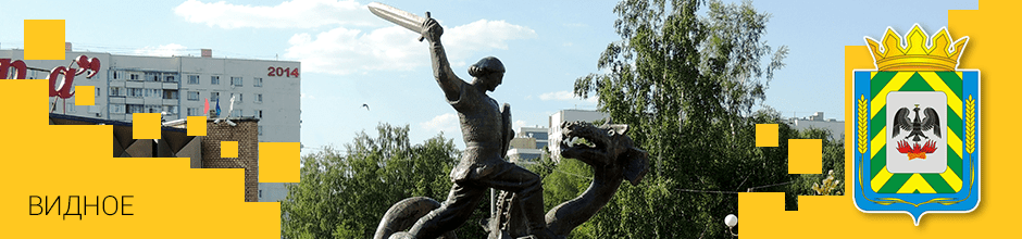 Доставка по Видному